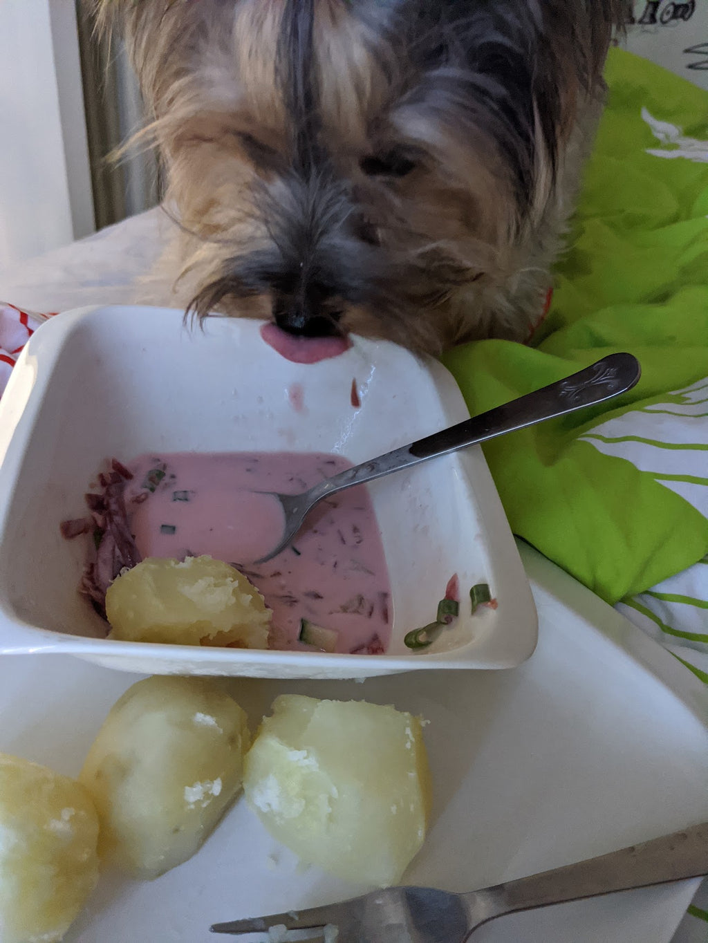 Lietuviski Saltibarsciai
